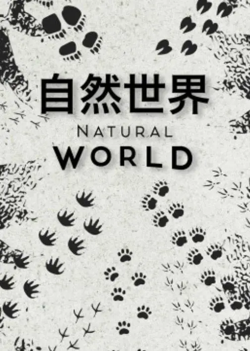 探索自然世界奇迹:第一季深度解读