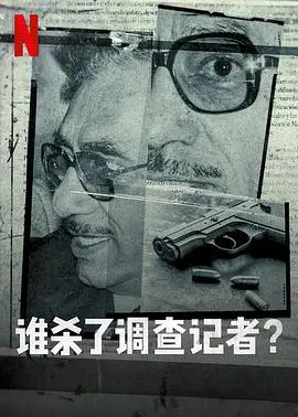 《谁杀了调查记者》深度解析：真相迷雾与正义的追寻