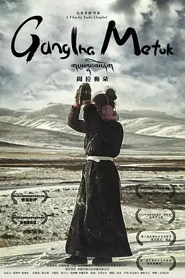 寻觅灵魂的净土：《冈拉梅朵》：一段关于信仰与爱的藏地史诗