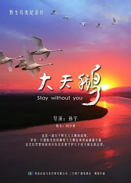 《大天鹅》：芭蕾舞团背后的黑暗秘密与人性挣扎，一场悬疑与艺术人生的华丽悲剧