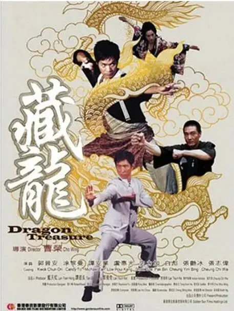 《藏龙》：一部被低估的国产动作片，找回武侠片的硬派与浪漫！