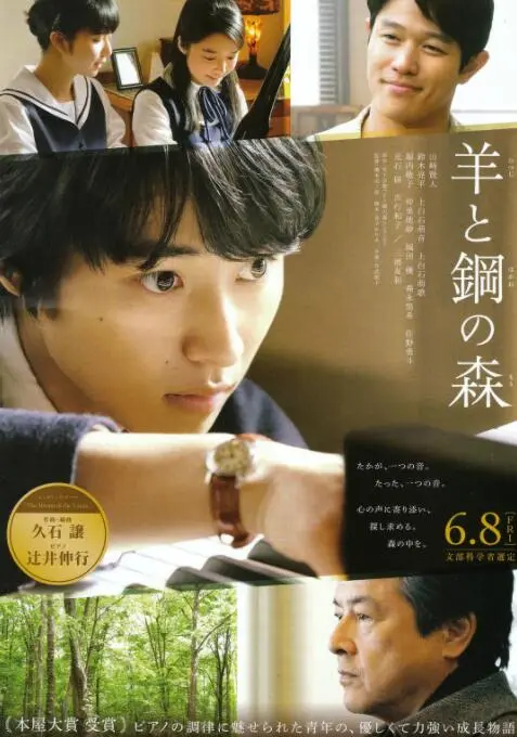 《羊与钢的森林》：当古典乐遇上成长痛，一曲关于爱、音乐与救赎的青春交响诗